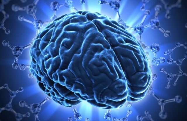 neuropsicopedagogo