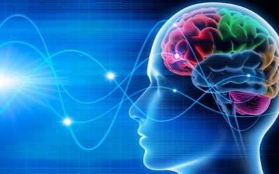 O que um neuropsicopedagogo avalia?