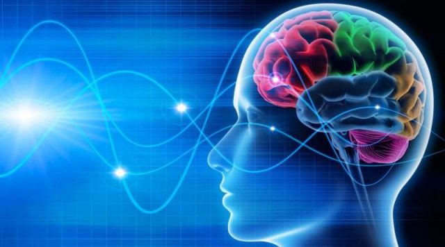 neuropsicopedagogo 2