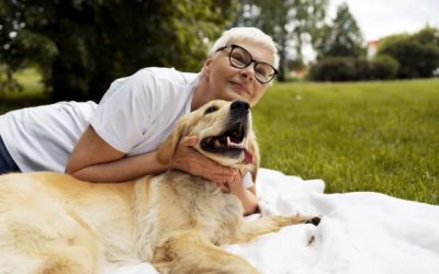 Pets podem ajudar no tratamento de autismo e depressão