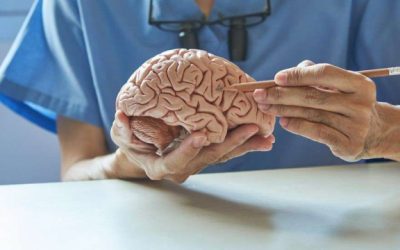 Alzheimer: a cura está próxima?