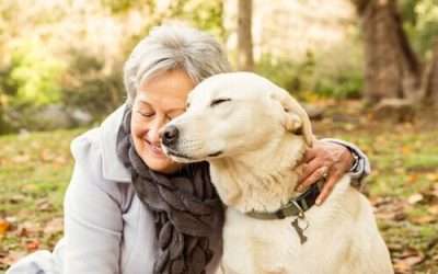 Idosos e cachorros: 7 benefícios dos animais na melhor idade